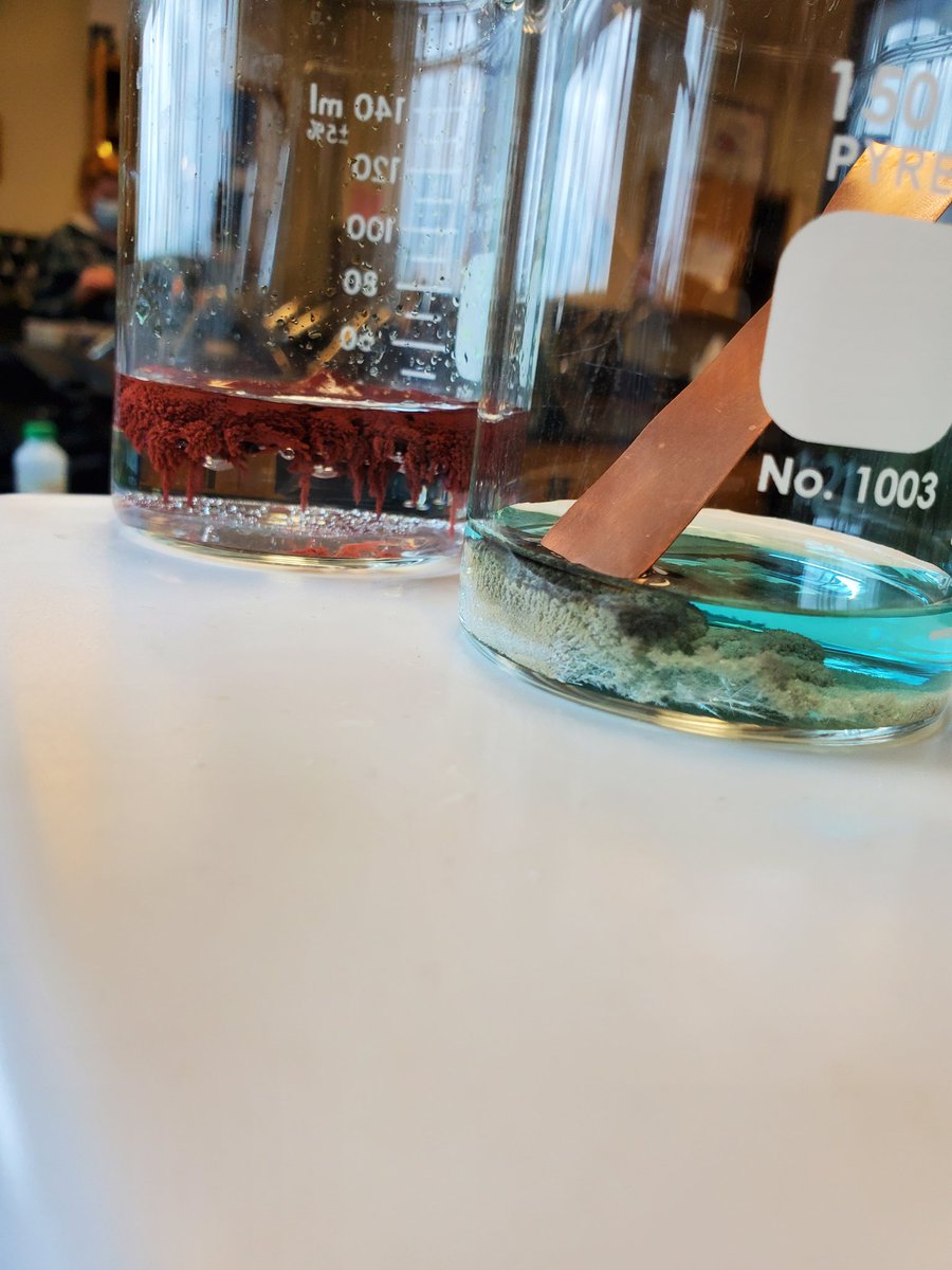 lyders0220's tweet photo. An experiment update from this AM #PreAPChemLife @SRattlerscience https://t.co/0I2Qn28K9k