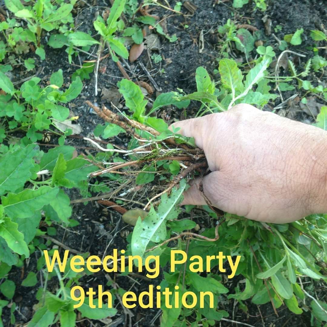 Last week we had one new person shown up to help out. Thanks Bob.

Join us this Thursday September 10th at 6:30 pm to keep the front of the club looking good.

We can do a lot in an hour if a few people just show up to help.

Thanks