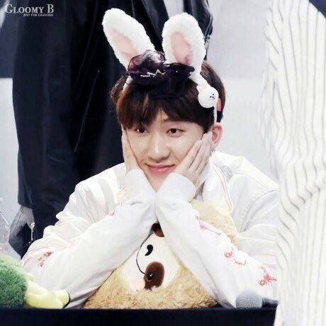 open this thread if you like bunnies