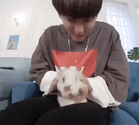 open this thread if you like bunnies