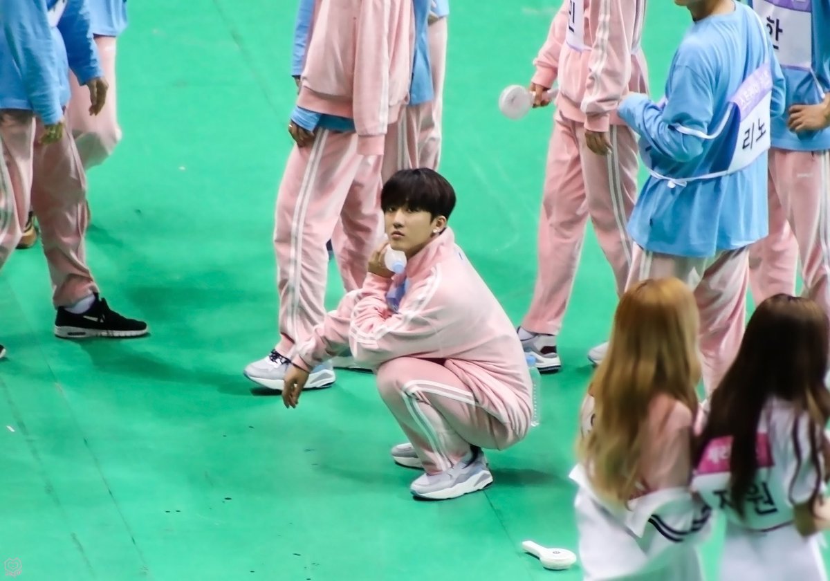 open this thread if you like bunnies