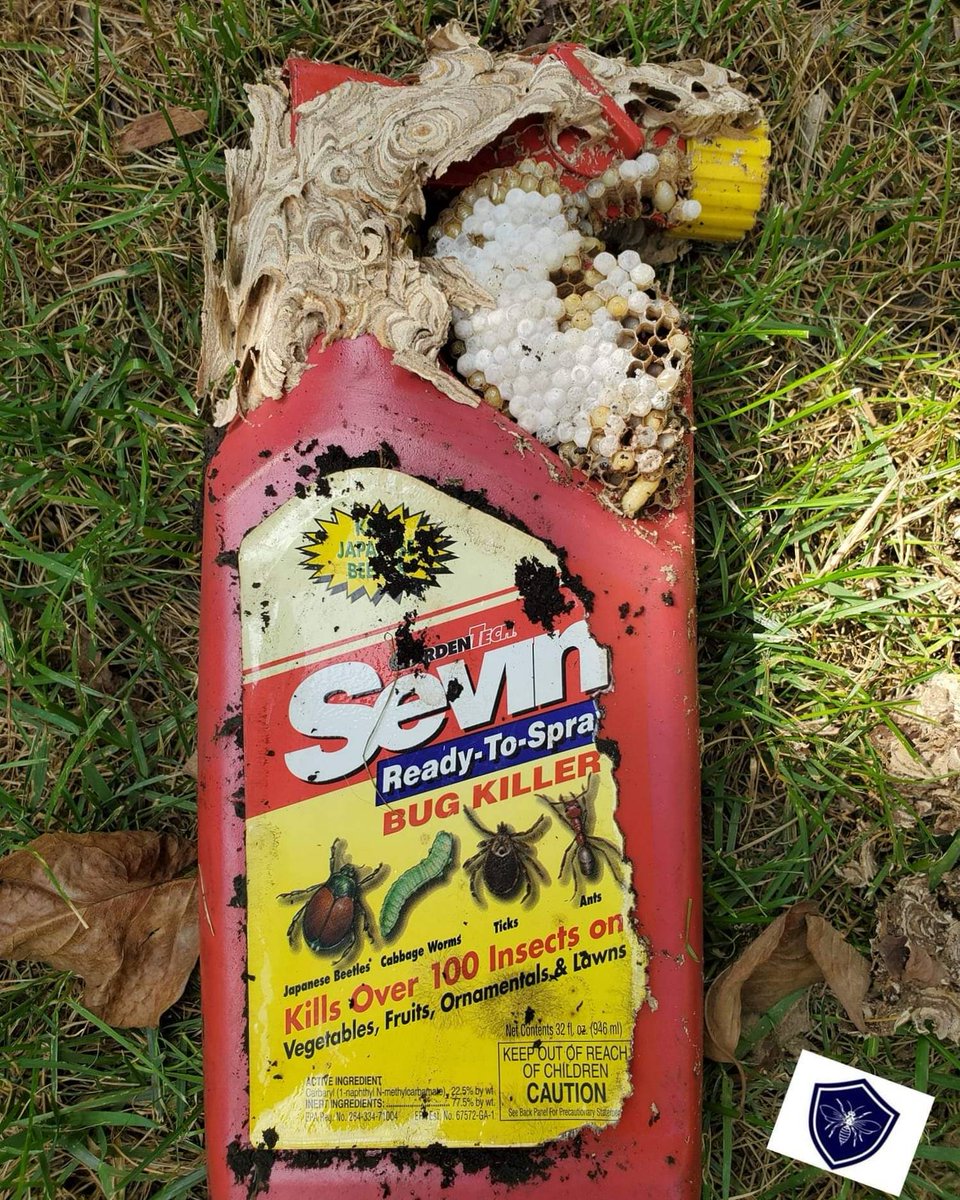 Thinking you can take care of a wasp nest yourself, with some insecticide and elbow grease? The wasps beg to differ. Call our pest management professionals at 425-482-2100 to make sure all your stinging insect problems are solved! 🐝❌👍