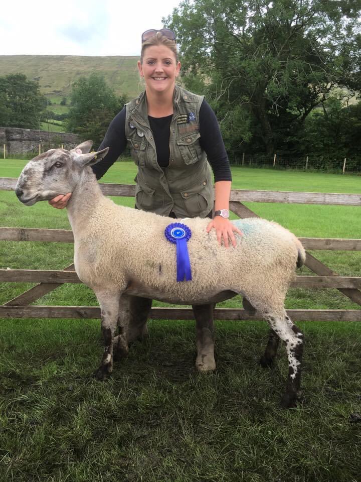 LizHoggarth's tweet photo. While the rest are #tupped with a @mulesheep #leicester #tup ......... https://t.co/KT1FgJPp9U