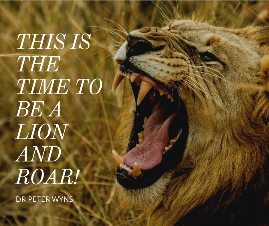 PeterWyns's tweet photo. There is a time to be a lion, and a time to be a lamb. This is the time to be a lion and roar! Let the name of the Lord be known, and stand for righteousness.

#christian #jesus #god #bible #faith #love #church #christ #prayer #gospel #worship #blessed #believe #amen #jesussaves https://t.co/cqRZr8PNu1