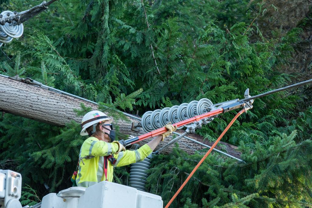 Puget Sound Energy tweet media