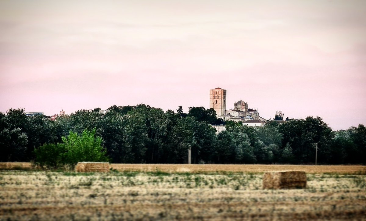 #CatedralDeZamora #LaPerlaDelDuero #Zamora