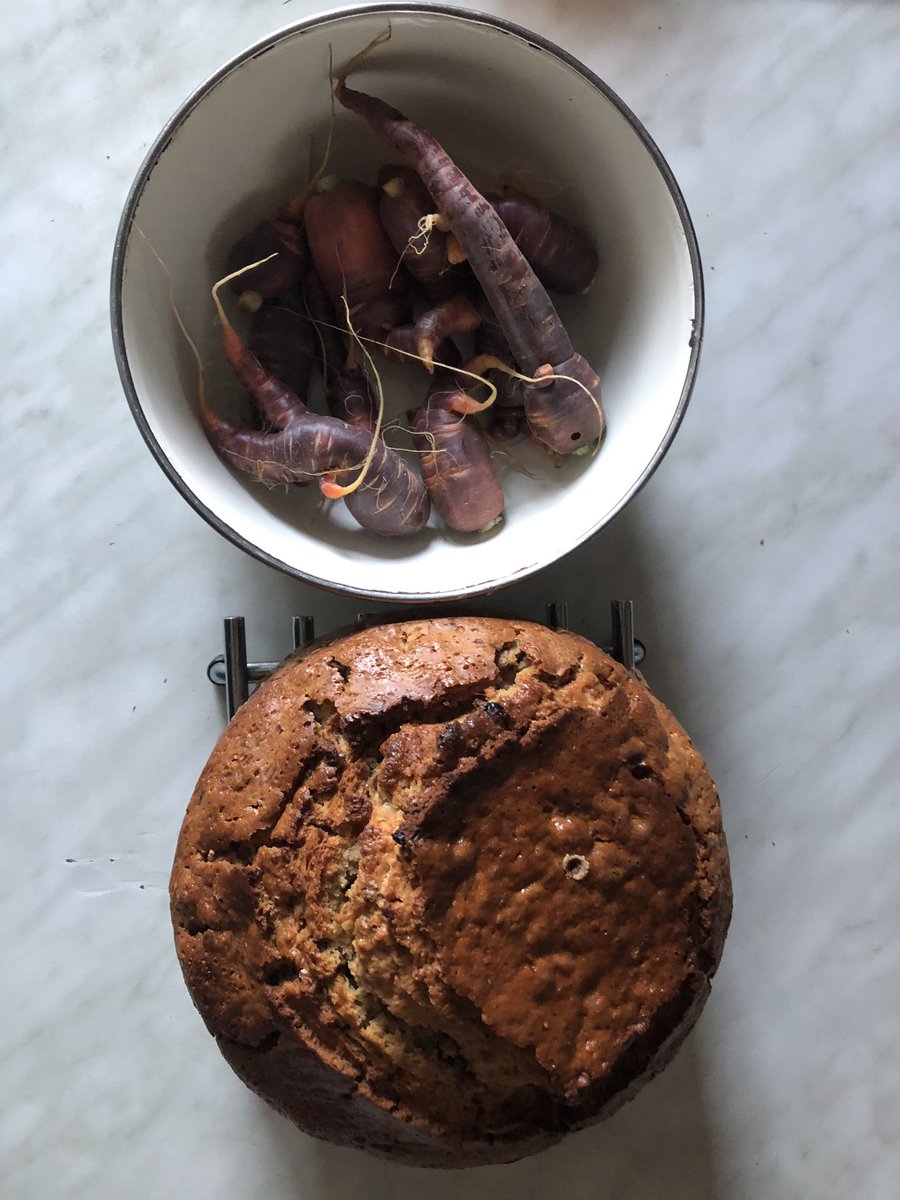 passepartout02's tweet photo. One definite positive outcome of lockdown. Made a delicious carrot 🥕 (home grown) orange 🍊 and walnut cake 🍰 and the aroma around the house is as nice as the slice we just had with ice cream 🍨 https://t.co/orv1C7n5lY