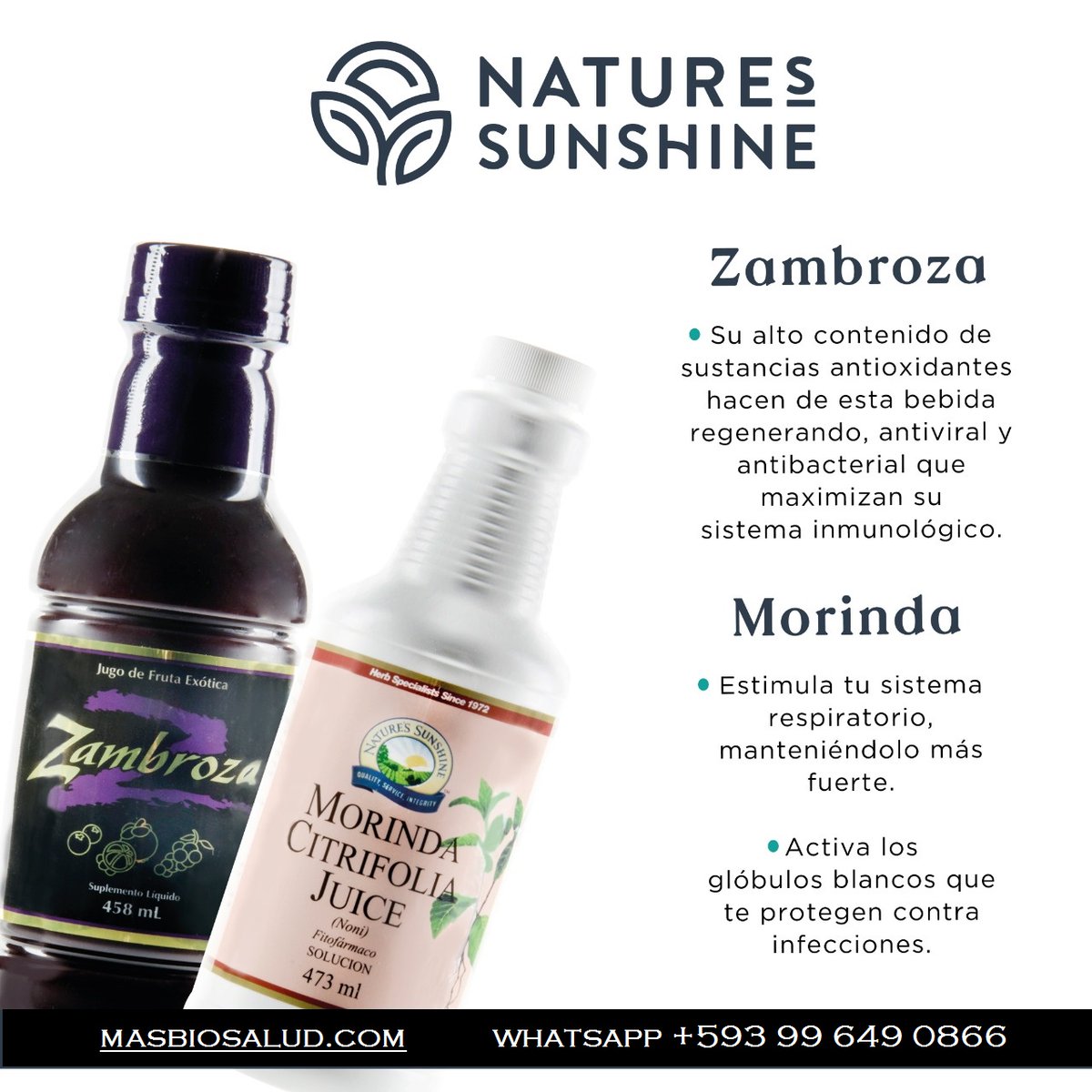 masbiosalud's tweet photo. La Zambroza y el Noni proveen nutrientes específicos para fortalecer el Sistema Inmune
Tu Visita AQUÍ https://t.co/466kRu3gfg
WhatsApp +593 99 649 0866
#MasBioSalud #BioSalud #SaludTotal #NaturesSunshine #Ecuador #Zambroza #Noni #Cuenca #NSP #Morinda https://t.co/AM241qxF3e