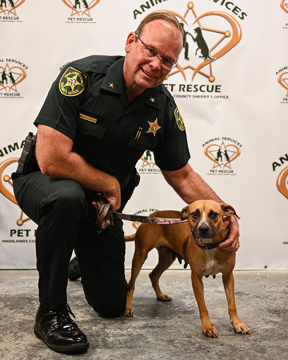 The Animal Services Pet of the Week is Sparkle. She is 2-3 years old and good with other dogs and people, but we aren't sure if she likes cats. To meet Sparkle, go to Animal Services at 7300 Haywood Taylor Blvd. in Sebring, call 863-402-6730 or visit hcso-animalservices.org.