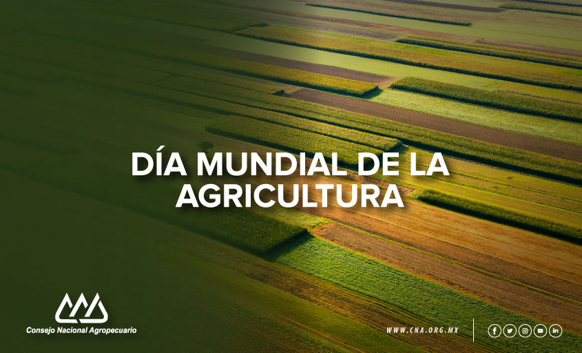 CNAgropecuario's tweet photo. #DiaMundialDeLaAgricultura como #CNA reforzamos el reto y compromiso de aumentar la producción de alimentos de manera sustentable e incluyente. https://t.co/gK7SN3QrAu