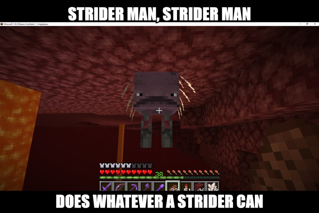 Minecraft Memes On Twitter Simple But Still Good Imo