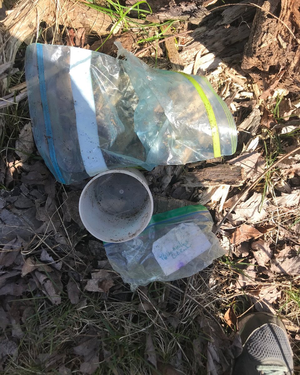 AprilHollySmith's tweet photo. This seems suspiciously empty. #NeedsMaintenance 

#Geocaching #GCmemorylane #Geocache #OHGEO #NEO #GoGeocaching #AHollyS #wondersgc #WRGT https://t.co/ldENqd5zGk