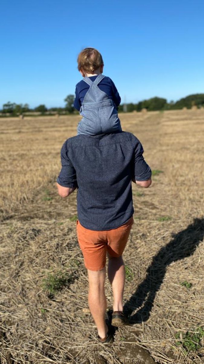 Sean Conway tweet media