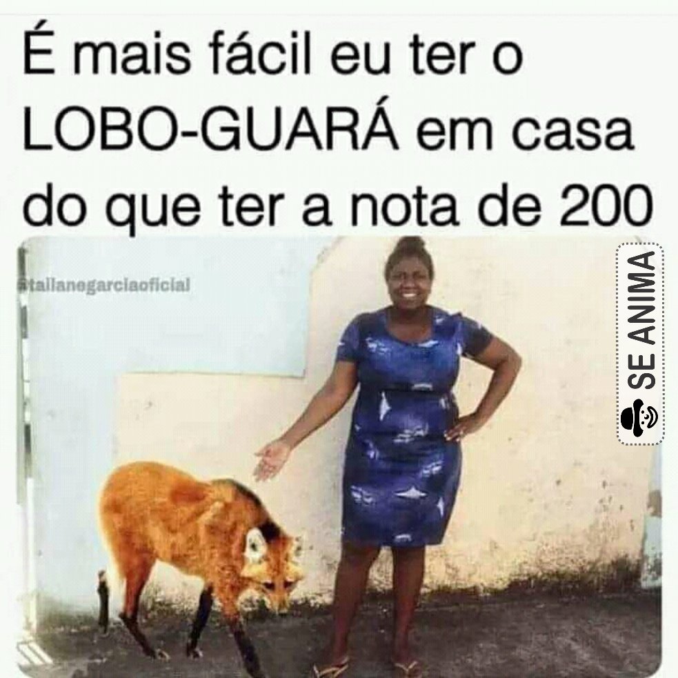 se_anima_memes's tweet photo. #meme #memes #memesbr #memesbrasileiros #memesengracados #comediabrasileira #humor #comediantes #comedia #comedias #humor
#iludido #piadas #memesbr #memesbrasil #brasilmemes #piada #risos #eunavida #troxa #amigos #engraçados #piadassemgraça #humorbrasil #memesdobrasil #memes https://t.co/w7l2DoCmA6