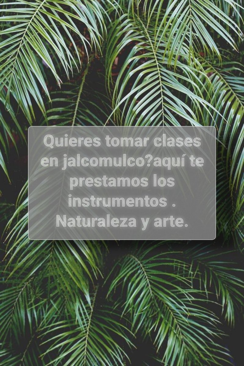 DemissArenal's tweet photo. #Jalcomulco
#ClasesDeMusica https://t.co/WK8e14GXr5