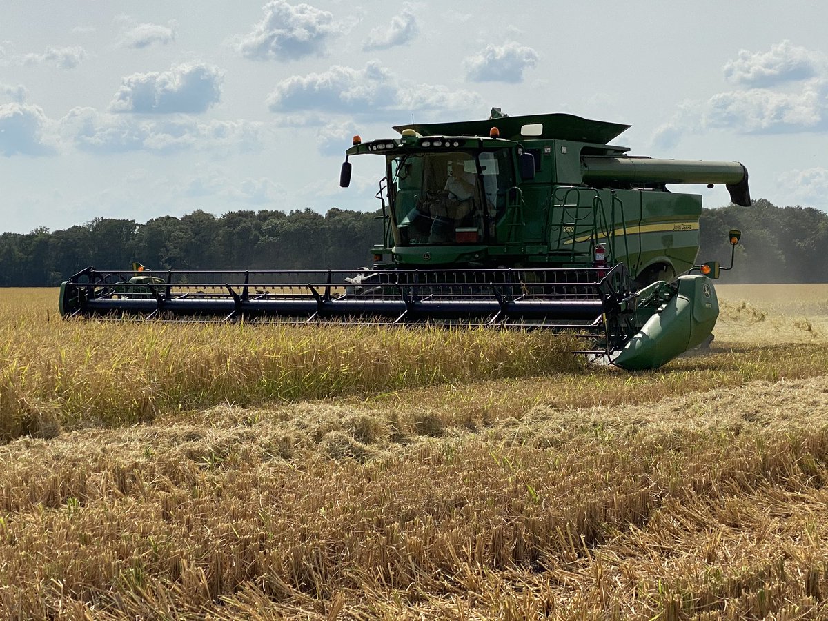 JohnDFarabough's tweet photo. Harvesting our Desha Co. Rice multiplier field. Great numbers from both yield monitor and weigh tickets. If that face doesn’t say happy rice farmer I don’t know what does. @AgWriterArk @AginArk @UAEX_edu @henryhankchaney @Arkansas_Rice #StillOnTheJob #DeshaCoAg #rice #Harvest2020 https://t.co/aF1Ta4Hhls