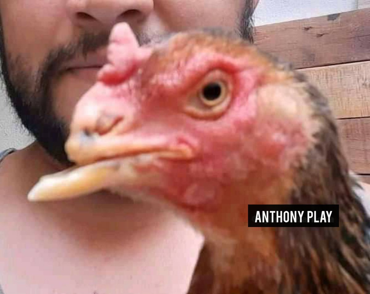 Anthony_PlayYT's tweet photo. Una gañina. https://t.co/zh7f4dLvOQ