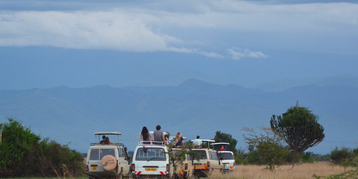 Uganda is the only country in Africa where you can observe lions prowling the open plains in the morning and track the chimpanzees in the afternoon. #africa #visituganda #eastafrica #cultoursandsafaris #safariuganda #tourism #travelphotography #wildlife #travel #nature #explore https://t.co/onZJ0CWXRc