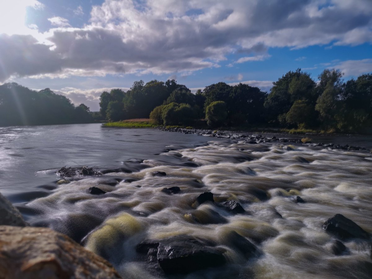 Trying something new at the river ☀️😍🌿🌳
#TwitterNatureCommunity #natureofscotland #nature #NaturePhotography #Scotland #photography #WednesdayThoughts #WednesdayMotivation