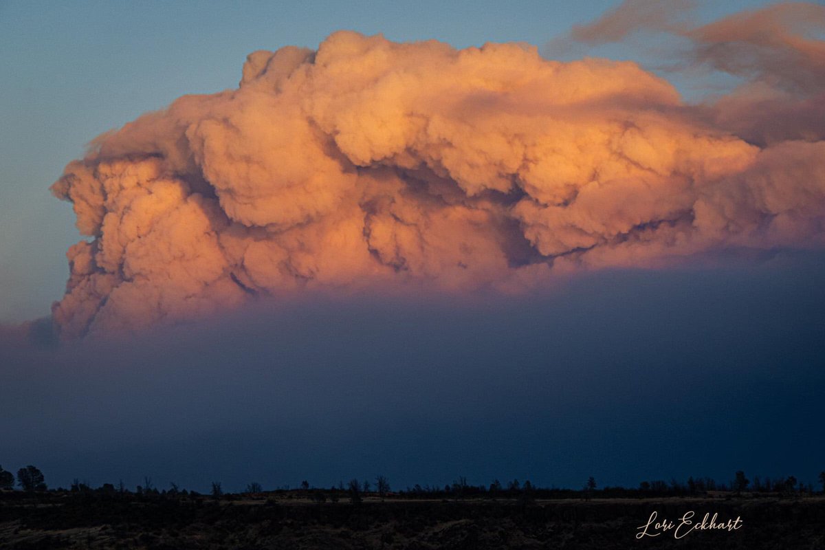 LoriEckhart1's tweet photo. @kcranews @kcraFinan @ChicoER More of my photos that I took these photos September 8, 2020 from Hwy 32, just above Chico, Ca, of the smoke plume from the Bear Fire. #kcra #markfinan #bearfire #chicoer #NorthernCalifornia #wildfire https://t.co/kbrsQLH2cl