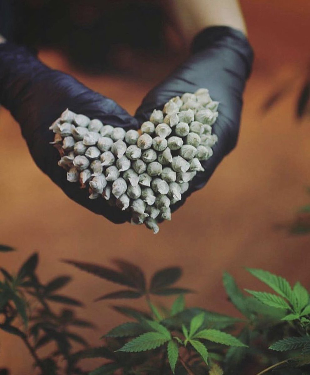 Love is a beautiful thing❤️