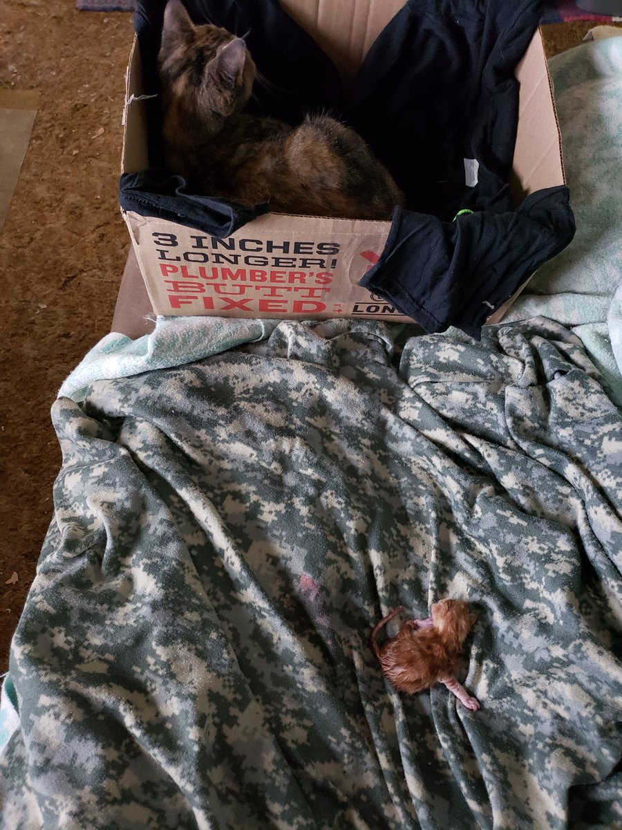 I put a box (and a bunch of towels) on the recliner. The box is full of old shirts. Thanks  @DuluthTradingCo for the box.