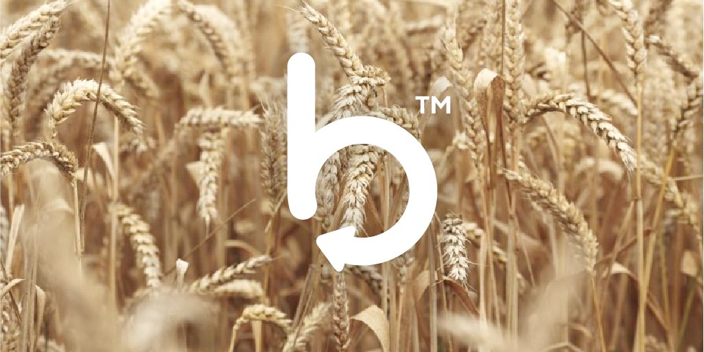 packagingpaulUK's tweet photo. Proud to support British Farming, providing the raw ingredients for the UK’s £120bn food and drink sector. https://t.co/AWLyLOqMbZ #BackBritishFarming 🚜🥩🥕🥬🇬🇧🧑‍🌾 https://t.co/dHdQcjtvwP