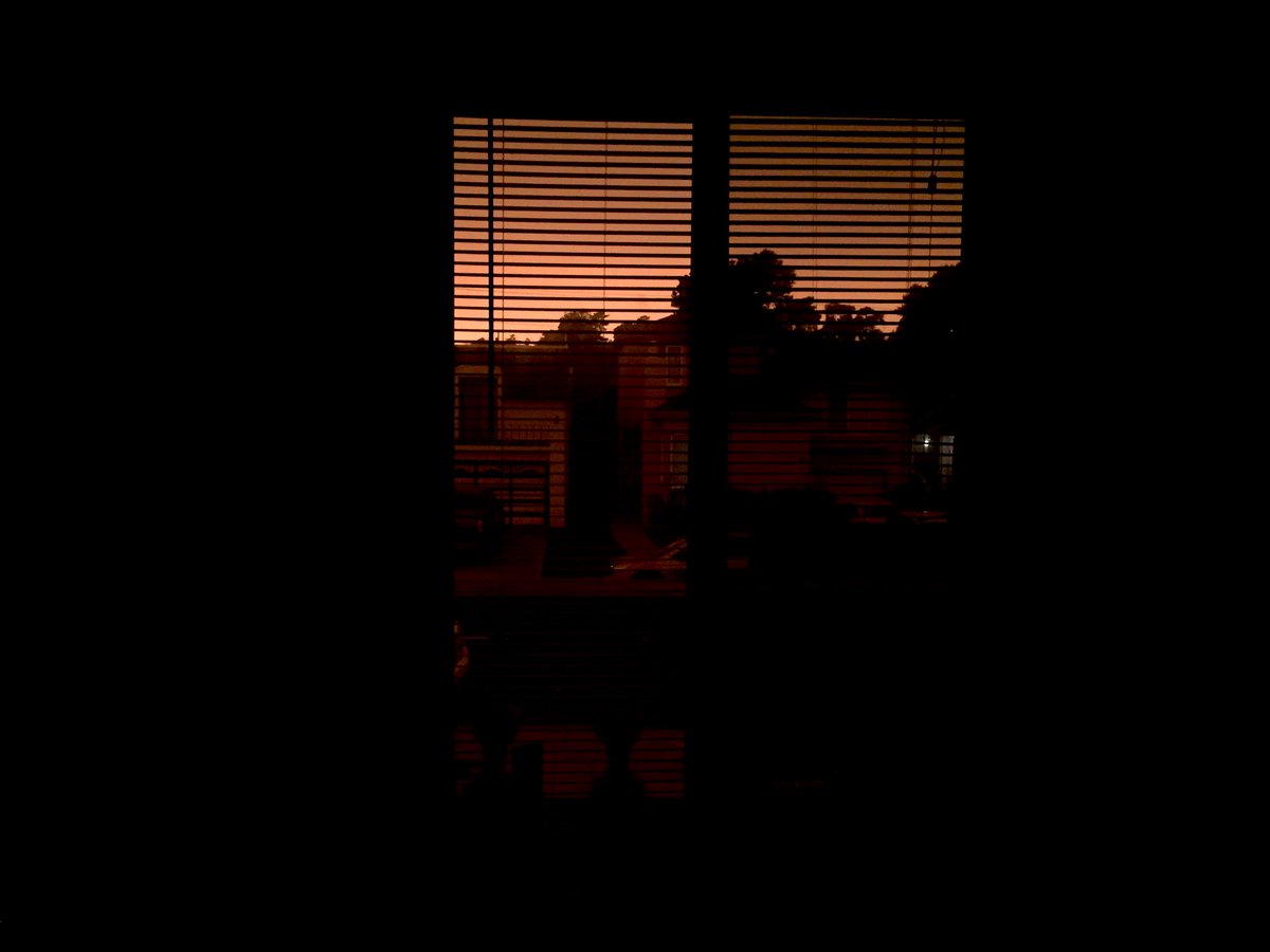 ソリス tweet media