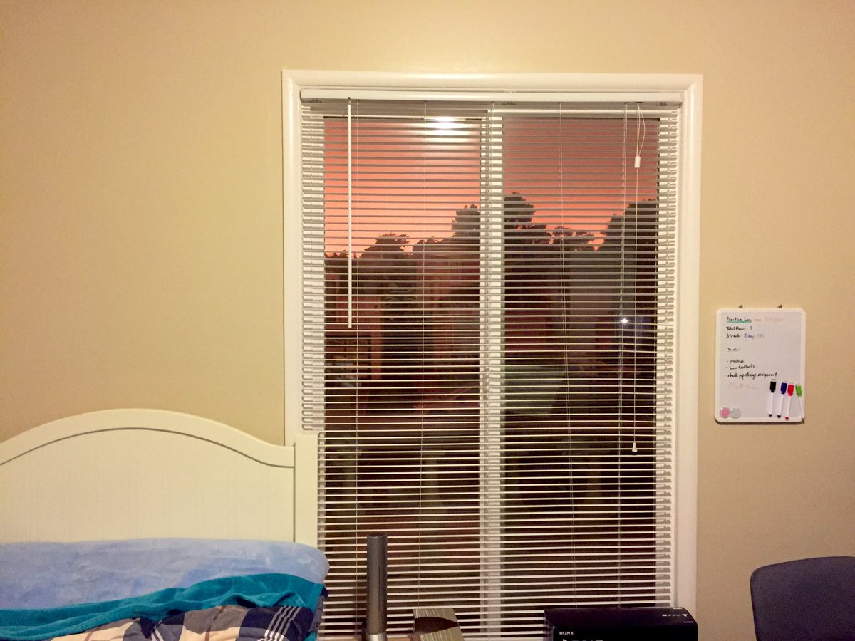 ソリス tweet media