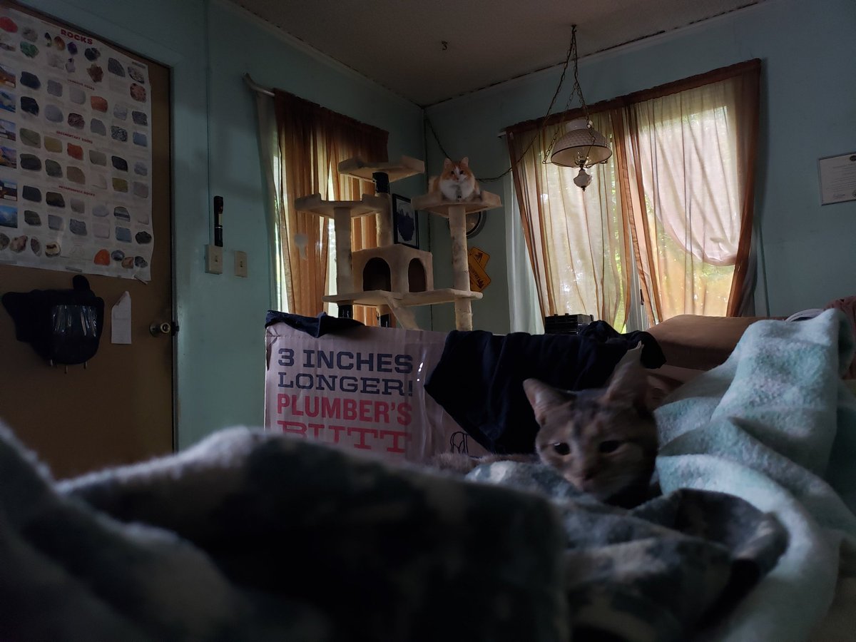 Current view from the recliner