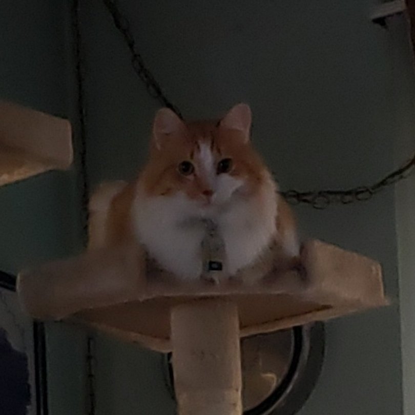 Current view from the recliner