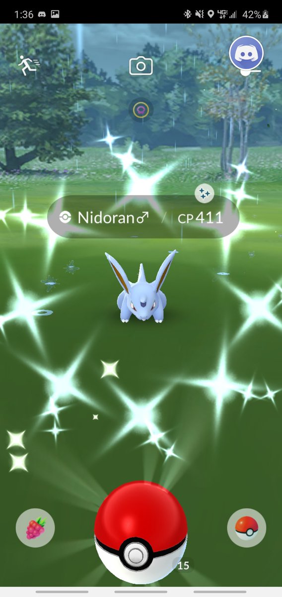 ShinyCrissy's tweet photo. I am now home doing my daily grinds 🥰😍 shiny #20 &amp; #21 of my personal challenge! Who is ready for our next Pokemon GO event Friday?!

#PokemonGo #PokemonGoShinies #WildShinies #ShinyIllumise #ShinyNidoran♂️ #ShinyCrissys25 #PersonalChallenge #PersonalContest https://t.co/aYQiUgH1eG