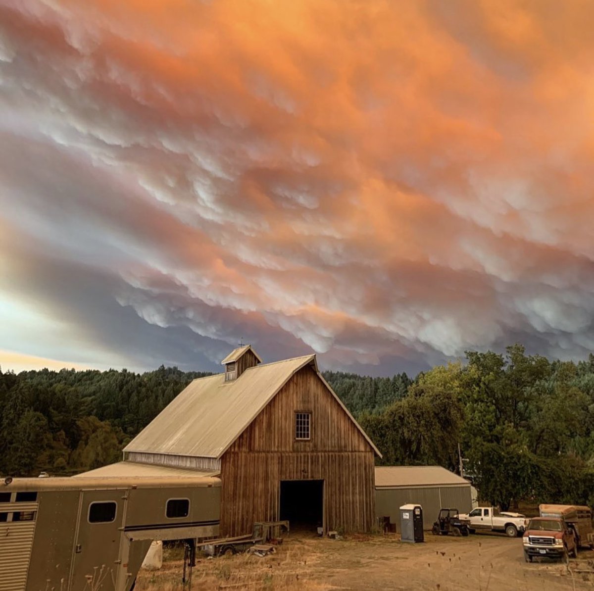The International Pinot Noir Celebration tweet media