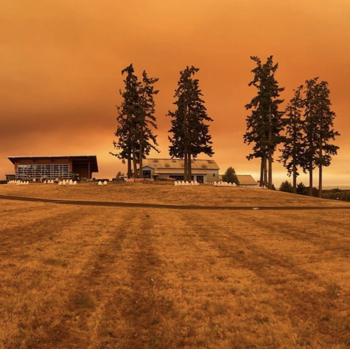 The International Pinot Noir Celebration tweet media