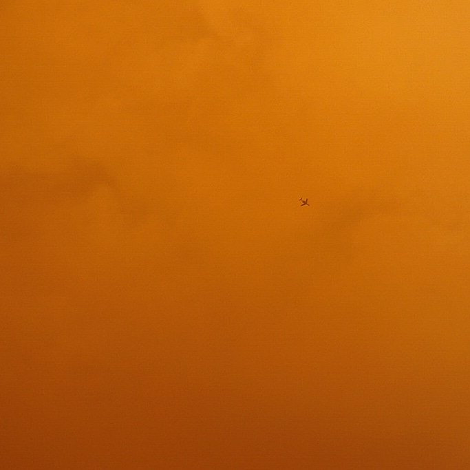 Erica 🍕 tweet media