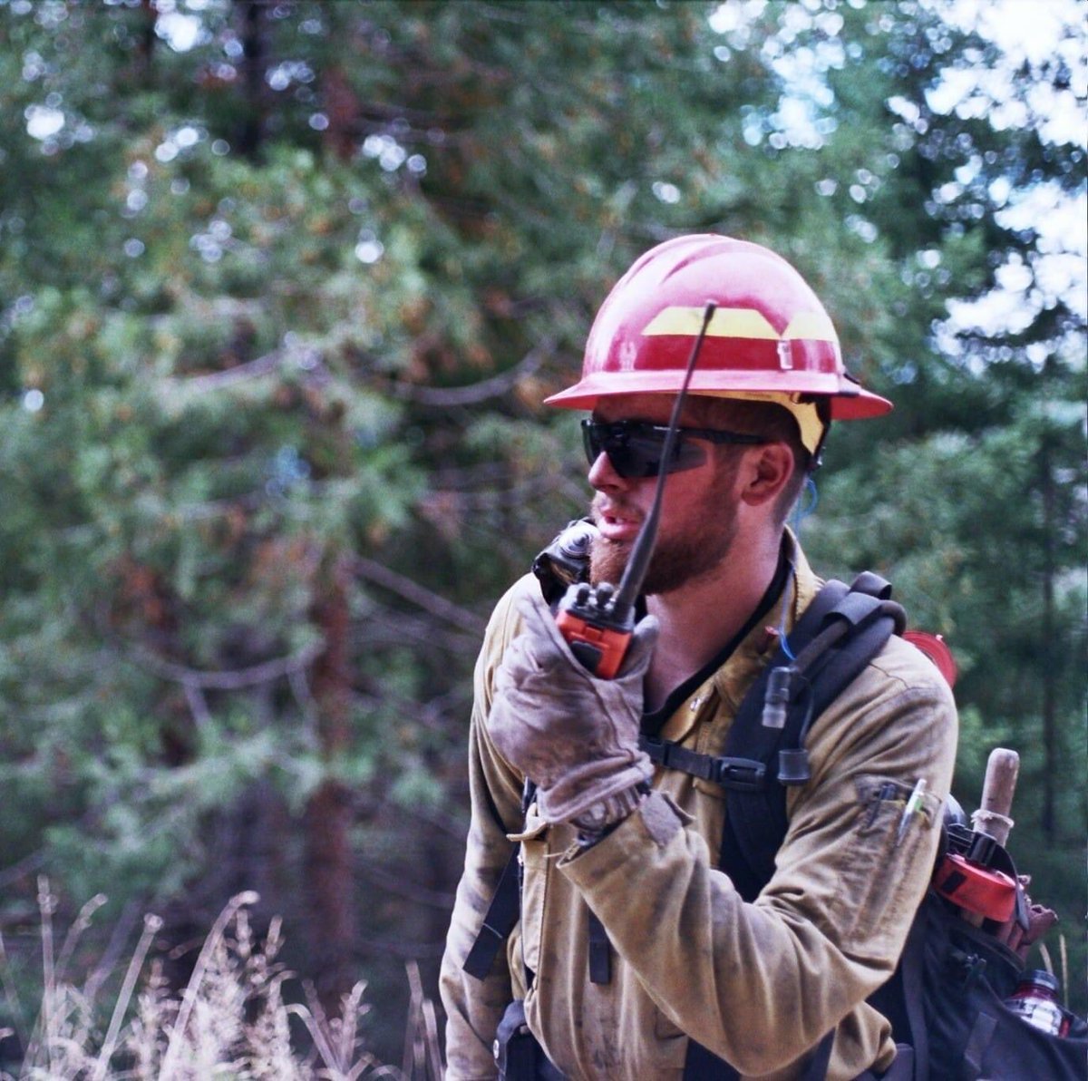 mccall_katelyn's tweet photo. Please pray for firefighters right now. They are out there working their asses off. https://t.co/yBVP4cjYHJ