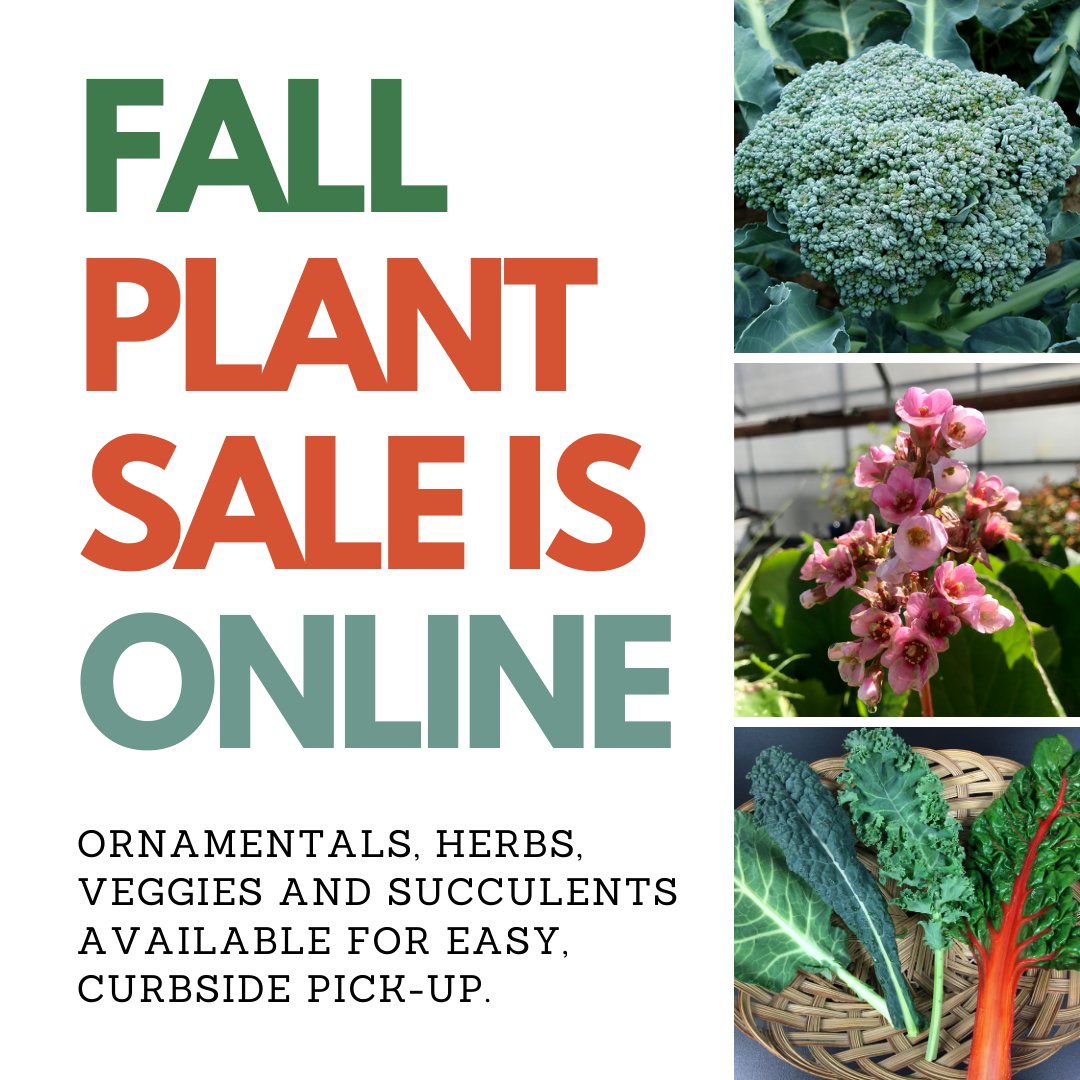 Gardenshf's tweet photo. It is hard to believe, but fall is almost here! And our Fall Plant Sale is NOW LIVE ONLINE (link in bio) where you can purchase fall veggies, herbs, ornamentals and succulents, and then schedule convenient, curbsite pick-up. Help support a local nonprofit! #plants #plantsale https://t.co/QntHGyK6zr
