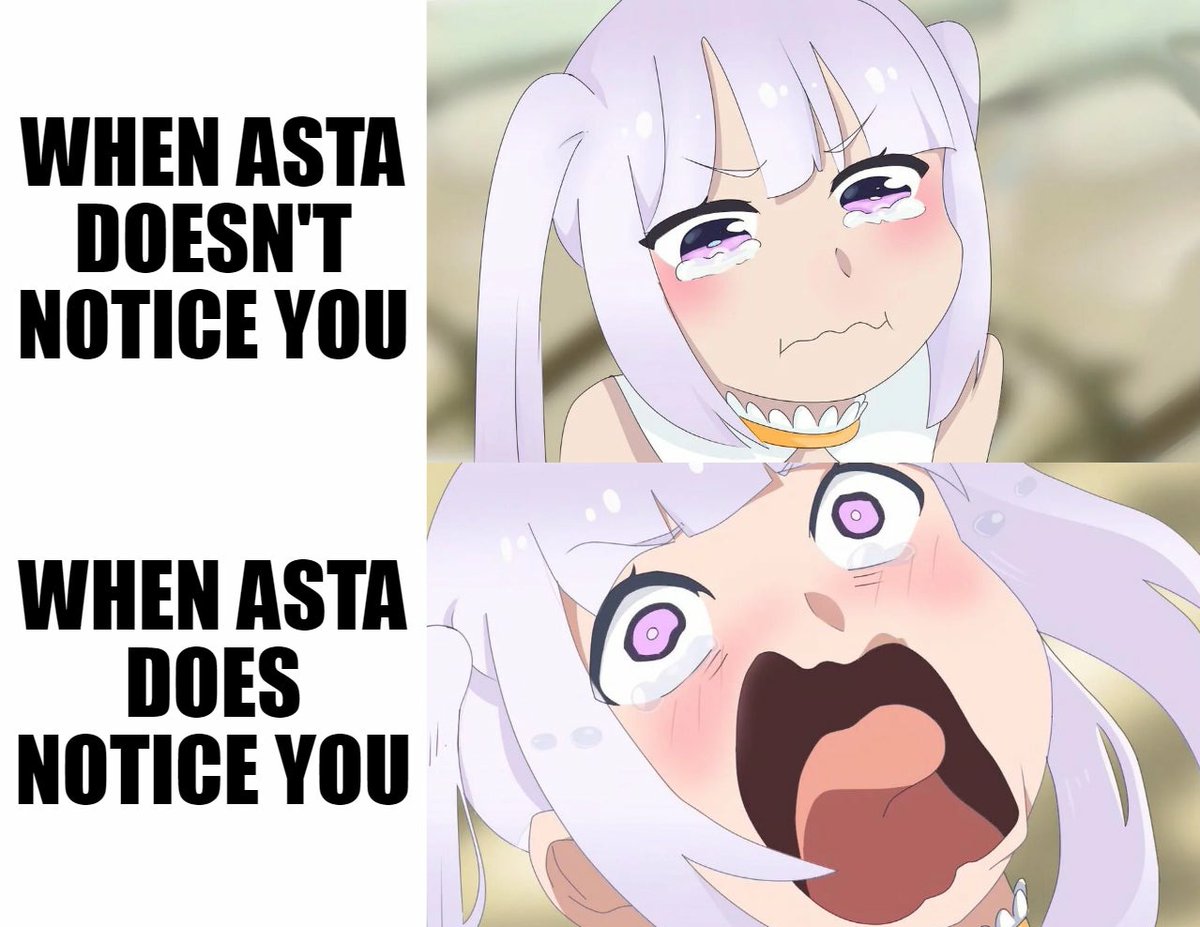 AstaGOAT's tweet photo. Noelle be like https://t.co/lC1Q8Ozgwz