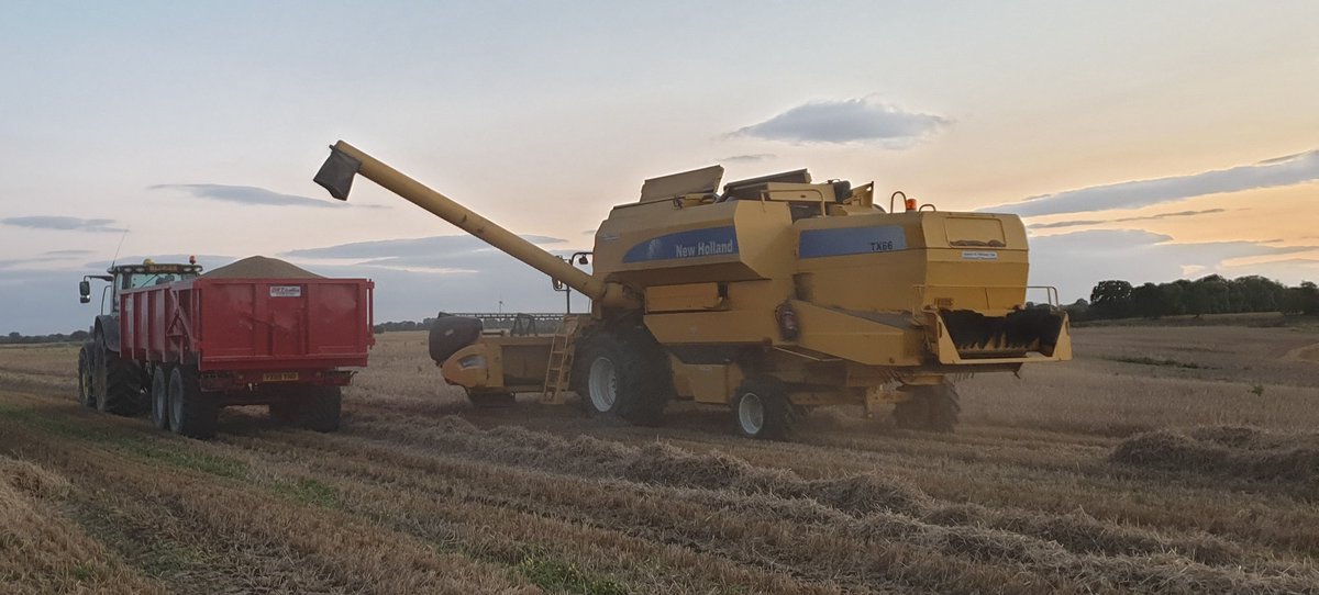Bez70's tweet photo. Combine out in the field #harvest2020 #newholland https://t.co/hzyovMVwkP