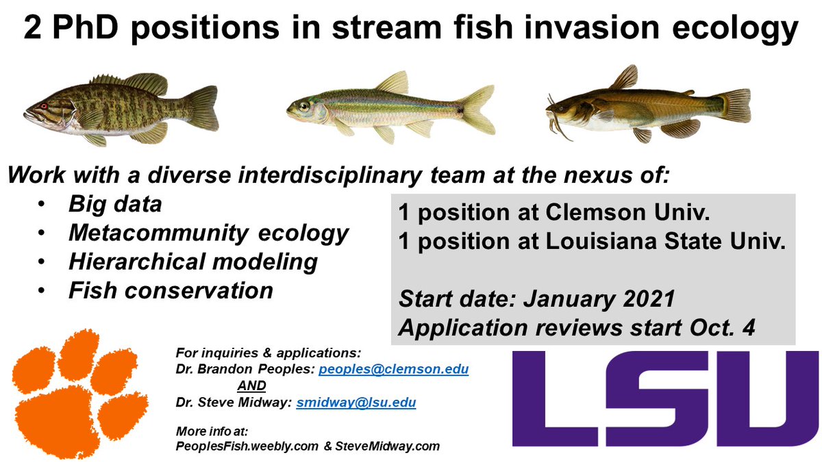 Been quiet on Twitter for a while, but we're back and happy to announce <a href="/TRACE_LAB/">Steve Midway</a> and I are recruiting two PhD students to work on <a href="/NSF/">U.S. National Science Foundation</a> funded work on fish invasions!
Come collaborate with an awesome team including @oldenfish, <a href="/gretchen_H20/">Dr. Gretchen Hansen</a> and many others! #fishsci