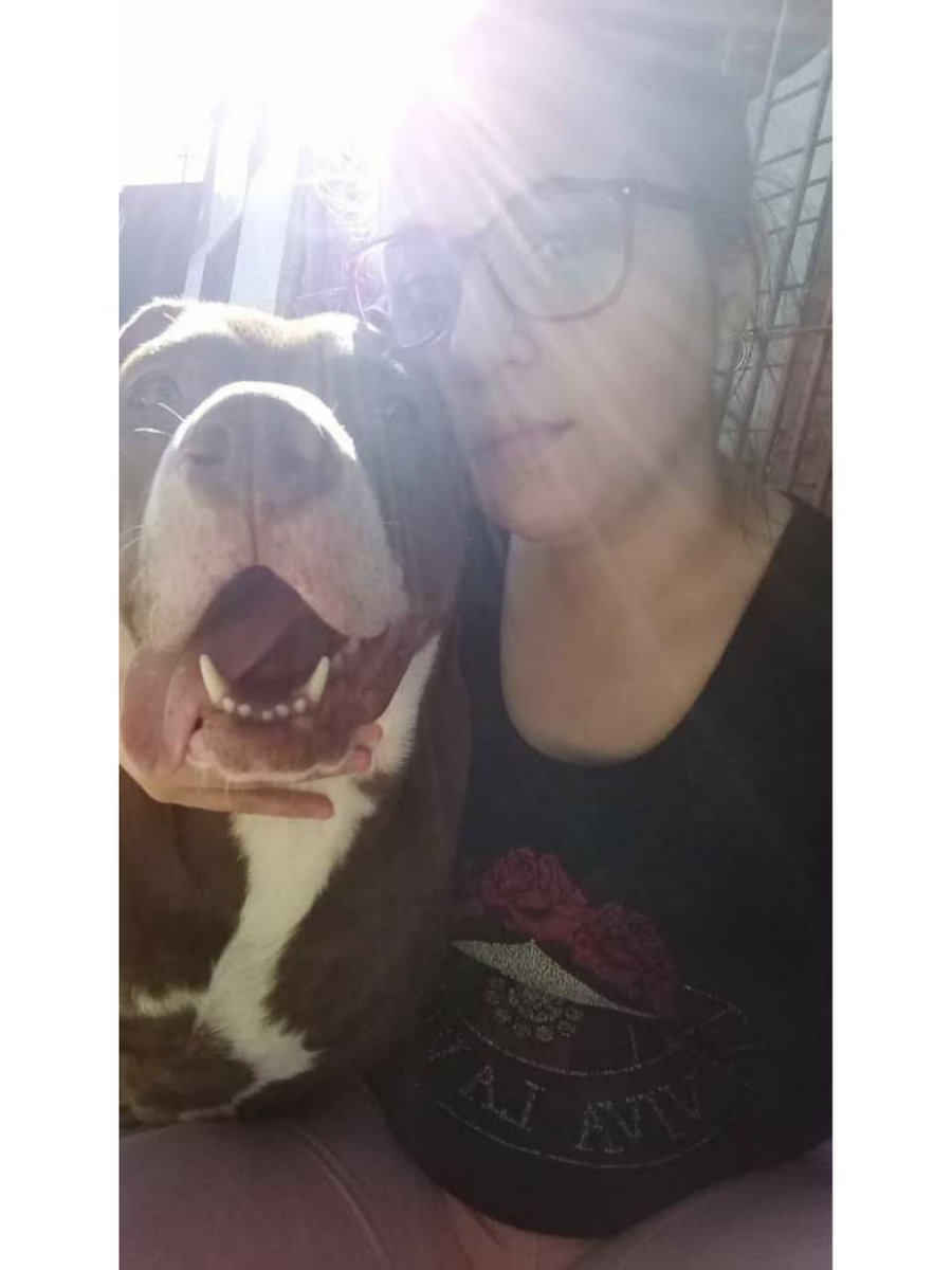 KathiGuillermo's tweet photo. Nada más lindo que vos mi gorda😍 
TE AMO TANTO, JAMÁS ME FALTES🐶 https://t.co/et51jbQOcY