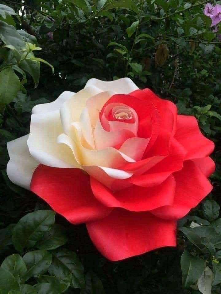 jsaborido50's tweet photo. Muchas felicidades a nuestra @InesMChapman, Viceprimera Ministra en nuestro país en su cumpleaños. Mujer cubana capaz y de valores demostrados. #SomosCuba https://t.co/TQUyB95VQV