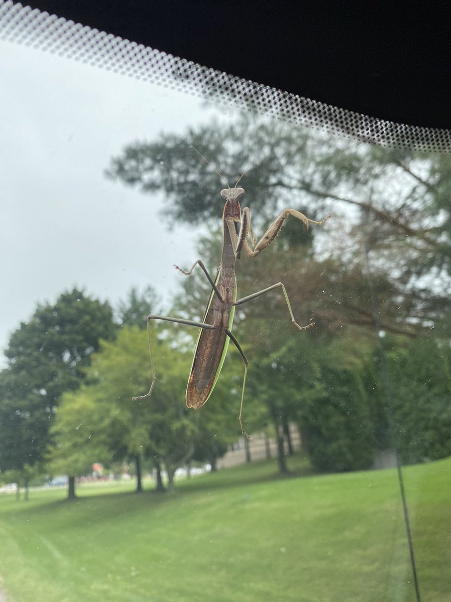 Mr_Kullman's tweet photo. Parked in the @ollwaterford church lot during @OLLonline pre-K pickup.  Returned to find a not so subtle reminder of the best way to deal with todays challenges. #okiamlistening https://t.co/h00ilgEFOT