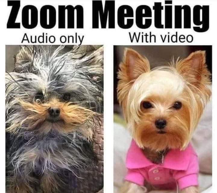 americameditate's tweet photo. @violadavis @TommyJBlack @TonyBakercomedy Better yet @violadavis This is many of us during our zoom twilight zone 🤣🤣🤣🤣 @priyankachopra @ava @Oprah @eridgnal @kerrywashington https://t.co/3rWO4DbjIg