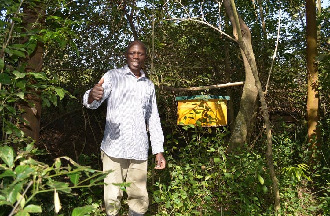 TYakushigawa's tweet photo. I want to outsource refining process of honey. Our farmers in Migori make very delicious honey but their honey is just removed from wax and is not refined up to the level of selling in a bottle at shops.
So if you know anybody who can do refining in Nairobi, please let me know!! https://t.co/a6A9hw7zQa