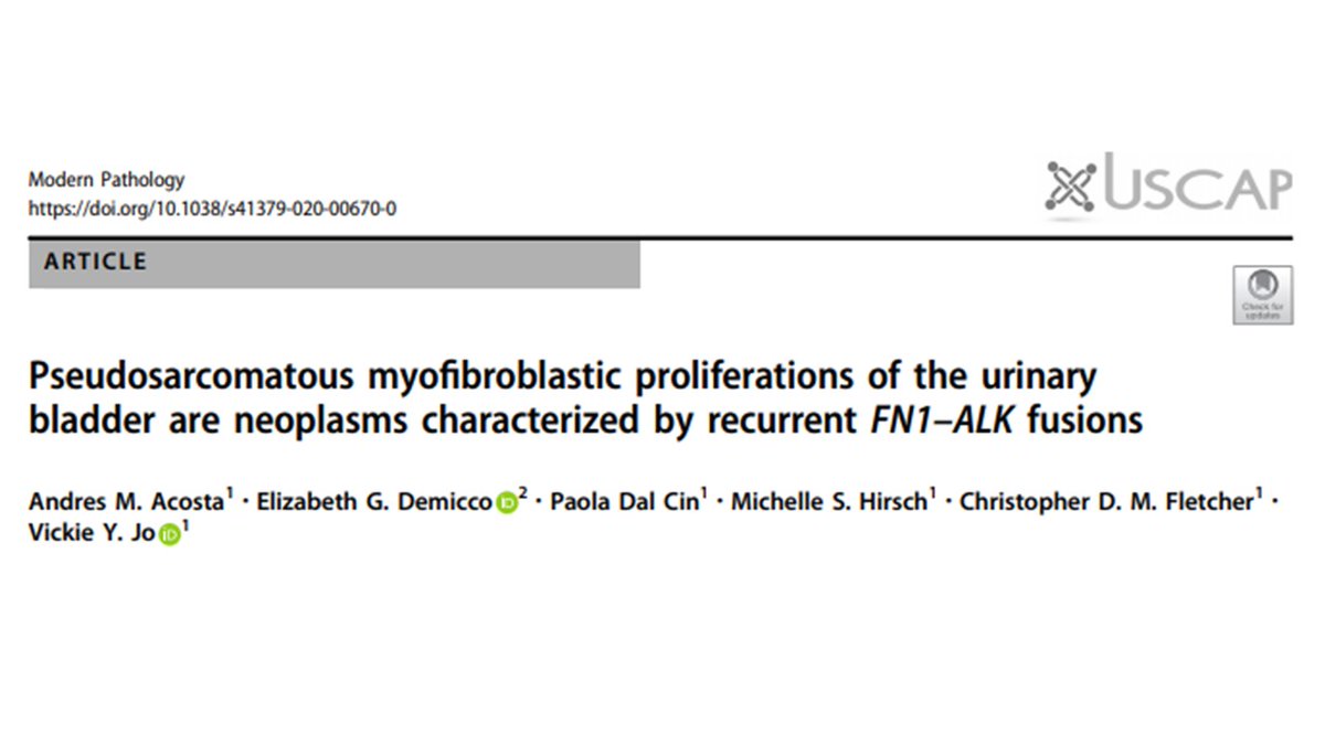 Andres_M_Acosta's tweet photo. Our new article in @ModernPathology . PMPs of the bladder show recurrent FN1-ALK fusions. @cjsalibay @MichelleDunno17 @Williamson_SR @drmehrarohit @JGordetsky @plessthanpt001 @DianitaOramas @DraEosina @rovingatuscap @DrRizwanRasheed @TobiAdelajaMD @MRNucciMD https://t.co/LLMRiUkk3W