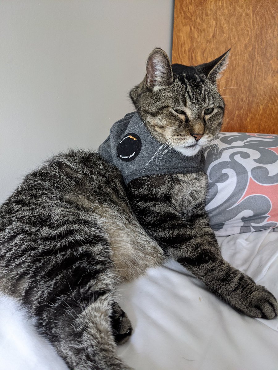 KevinJZuidema's tweet photo. Dozing off... https://t.co/2GaQse2efN