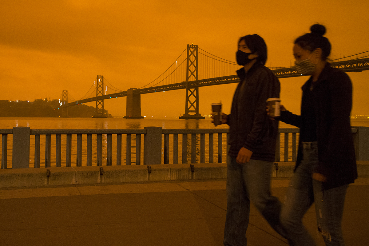 SF Examiner tweet media