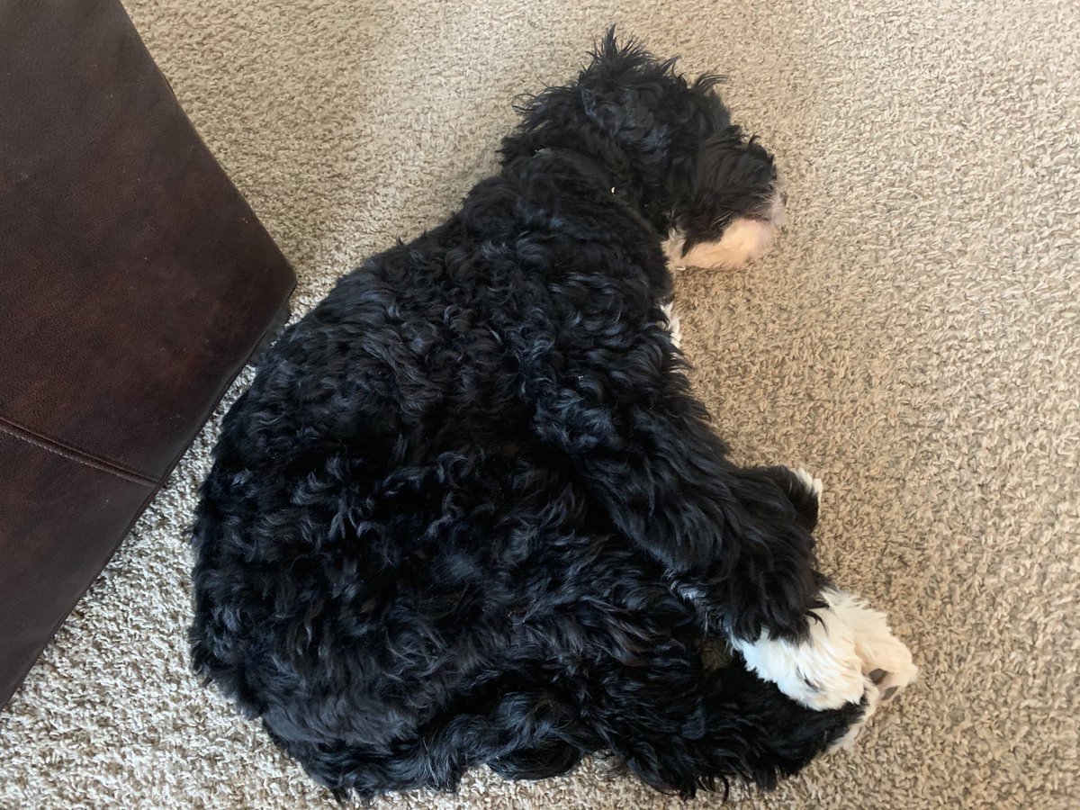 He can’t sleep normally