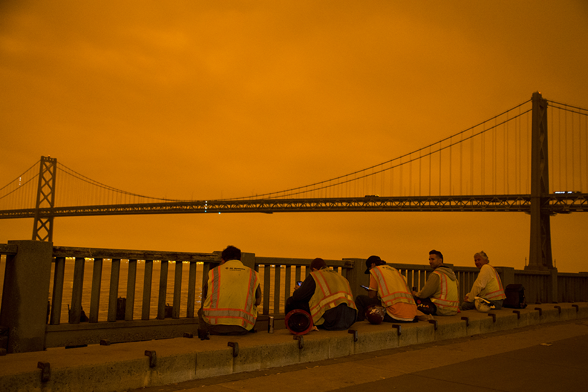 SF Examiner tweet media